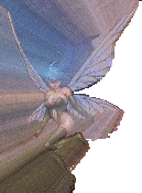 FAIRYR.gif (284103 bytes)